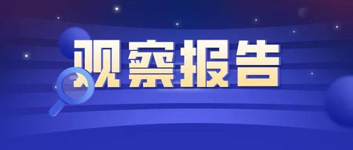 信息技术应用调研及对法律服务行业的影响观察报告——聚焦信息技术咨询服务